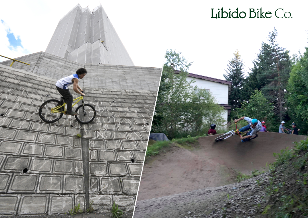 LiBCo cover image